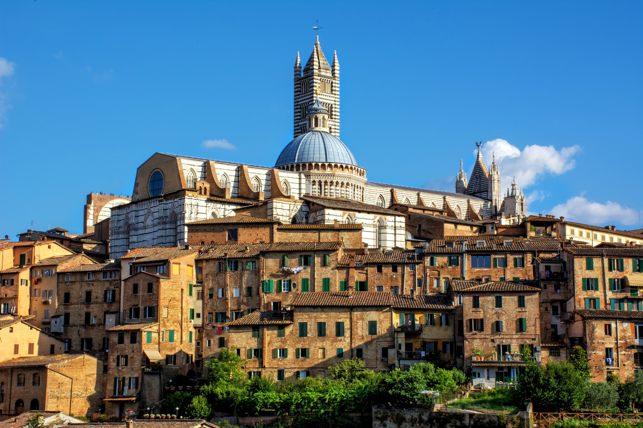 siena cathedral, , -  ,  ,  , , , 